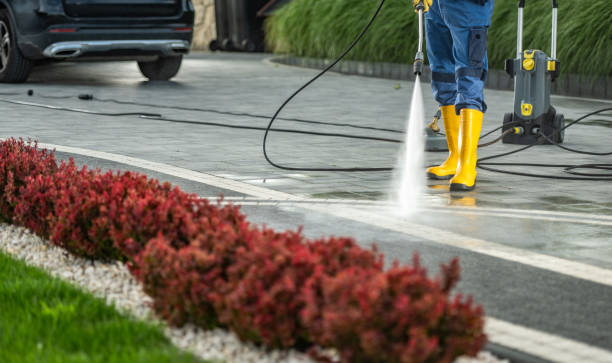 Best Roof Power Washing Services  in Pelham, GA