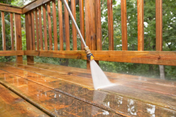 Best Roof Pressure Washing  in Pelham, GA